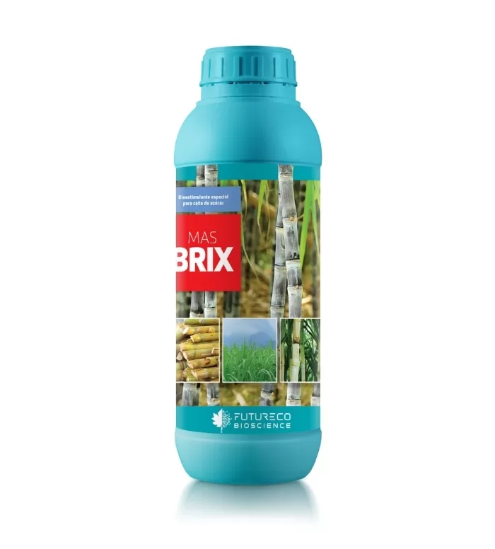 MASBRIX 12X1L - Futureco