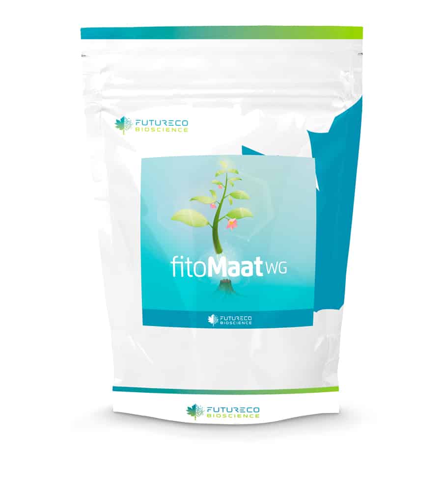 FITOMAAT WG 4X2.5 KG - Futureco