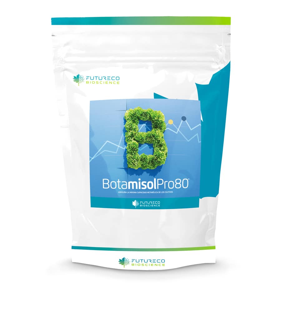 BOTAMISOL 80 PRO 4X2.5 KG - Futureco