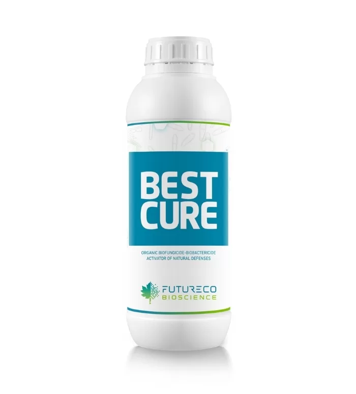 BESTCURE 43 SL 250 CC - Futureco
